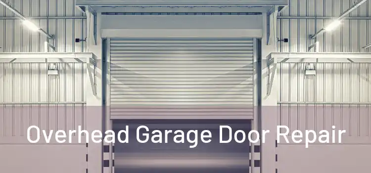  Overhead Garage Door Repair 